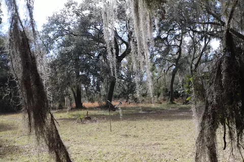 1620 St Marks Pond Blvd, Saint Augustine, FL 32095 photo 4