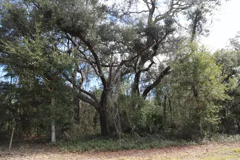 1620 St Marks Pond Blvd, Saint Augustine, FL 32095 photo 14
