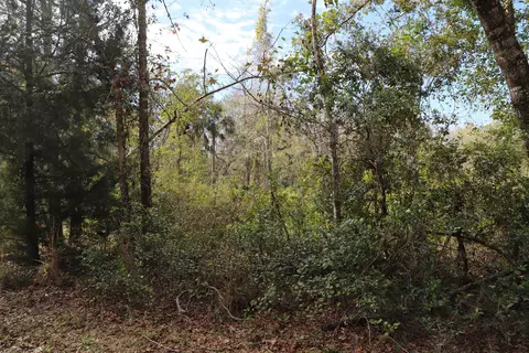 1620 St Marks Pond Blvd, Saint Augustine, FL 32095 photo 13