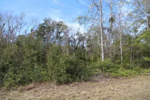 1620 St Marks Pond Blvd, Saint Augustine, FL 32095 photo 18