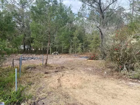 103 Roberto Ln, Florahome, FL 32140 photo 2