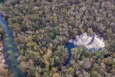 View/Area - 6194 Bear Trl, Weeki Wachee, FL 34607 photo 14 of 14