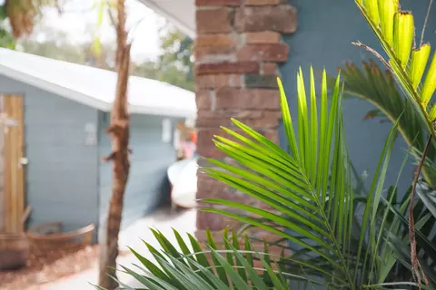 Exterior - 6194 Bear Trl, Weeki Wachee, FL 34607 photo 11 of 16