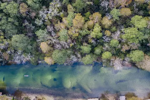View/Area - 6194 Bear Trl, Weeki Wachee, FL 34607 photo 7 of 14