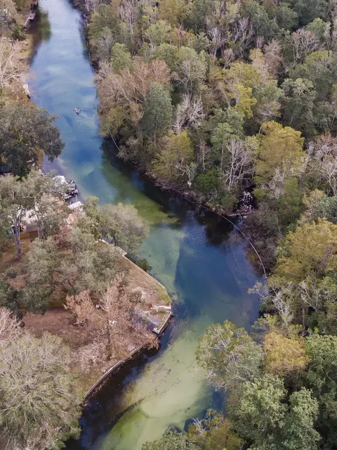View/Area - 6194 Bear Trl, Weeki Wachee, FL 34607 photo 5 of 14
