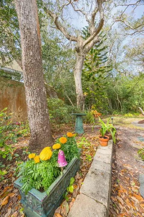 Exterior - 485 Ocean Forest Dr, Saint Augustine, FL 32080 photo 11 of 19