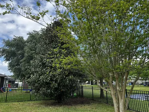 112 Fallen Timber Way, Saint Augustine, FL 32084 photo 30