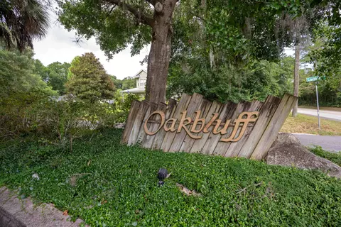 View/Area - 4172 Creekbluff Dr, Saint Augustine, FL 32086 photo 15 of 15