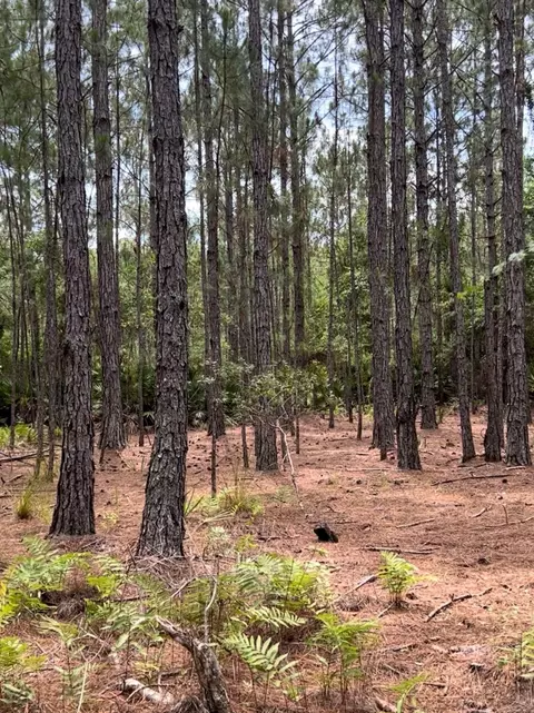 0 Carter Rd, Saint Augustine, FL 32086 photo 10