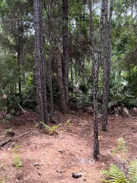 0 Carter Rd, Saint Augustine, FL 32086 photo 11