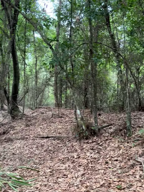 0 Carter Rd, Saint Augustine, FL 32086 photo 8