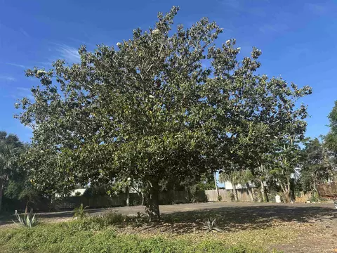 2 Avista Cir, Saint Augustine, FL 32080 photo 3