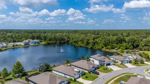 242 Coastal Hammock Way, Saint Augustine, FL 32086 photo 2