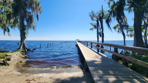 329 Palm Way, Georgetown, FL 32139 photo 7