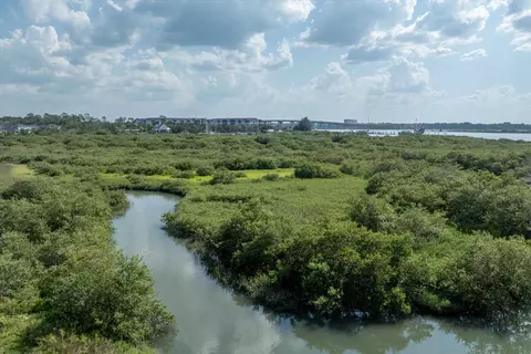 View/Area - 228 Pelican Reef Dr, Saint Augustine, FL 32080 photo 14 of 19