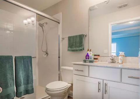 Bath - 310 Cedarstone Way, Saint Augustine, FL 32092 photo 1 of 5