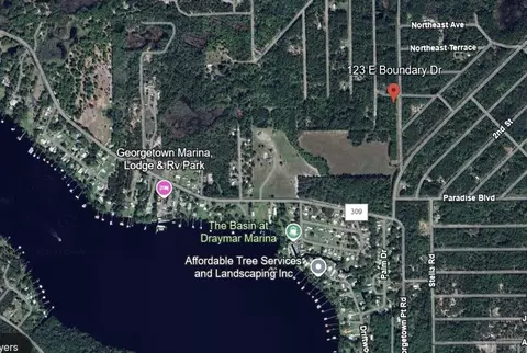 123 E Boundary Dr, Georgetown, FL 32139 photo 1