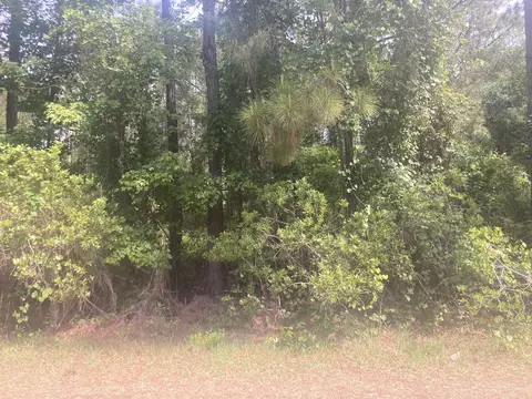 230 Palm Way, Georgetown, FL 32112