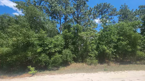 218 Summit Rd, Satsuma, FL 32189