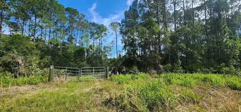 160 Edgemere Dr, Georgetown, FL 32139 photo 3