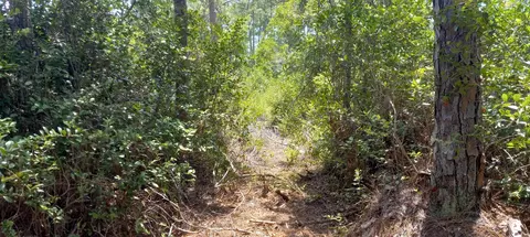 160 Edgemere Dr, Georgetown, FL 32139 photo 12