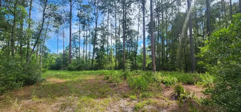 160 Edgemere Dr, Georgetown, FL 32139 photo 2