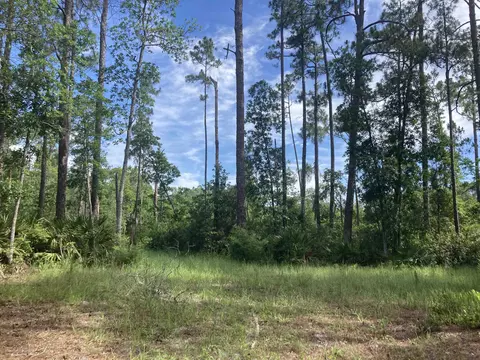 160 Edgemere Dr, Georgetown, FL 32139 photo 7