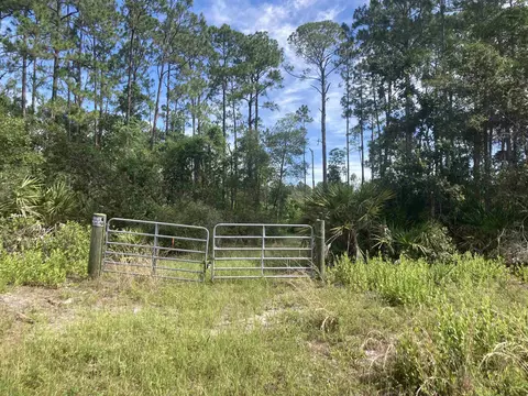 160 Edgemere Dr, Georgetown, FL 32139 photo 1