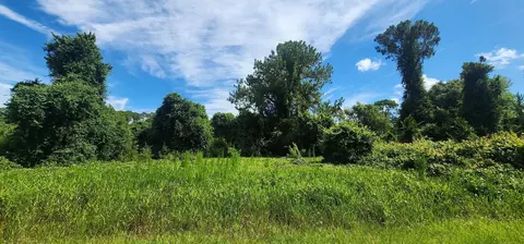 160 Edgemere Dr, Georgetown, FL 32139 photo 8