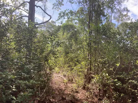 160 Edgemere Dr, Georgetown, FL 32139 photo 5