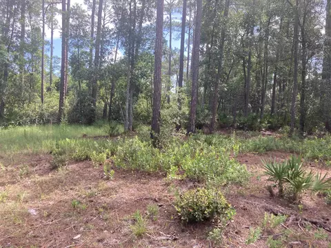 160 Edgemere Dr, Georgetown, FL 32139 photo 4