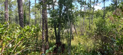 160 Edgemere Dr, Georgetown, FL 32139 photo 11