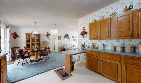 100 Harper Pl, Satsuma, FL 32189 photo 14