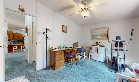 100 Harper Pl, Satsuma, FL 32189 photo 17
