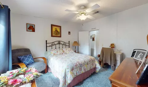 100 Harper Pl, Satsuma, FL 32189 photo 19