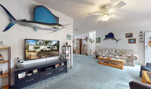 100 Harper Pl, Satsuma, FL 32189 photo 4