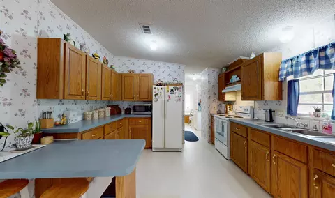 100 Harper Pl, Satsuma, FL 32189 photo 12