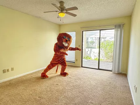 221 Mayan Ter, Saint Augustine, FL 32080 photo 34