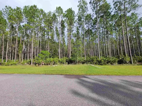 102 Creekside Dr, Bunnell, FL 32110 photo 5