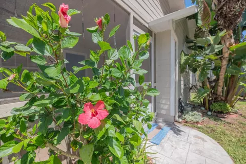 6401 Brevard St, Saint Augustine, FL 32080 photo 33