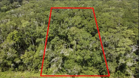 10555 Turpin Ave, Hastings, FL 32145