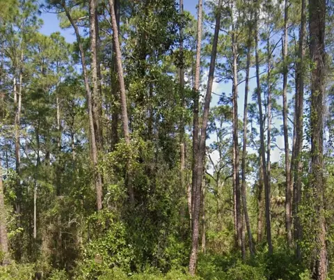 304 Rosewood St, Georgetown, FL 32139