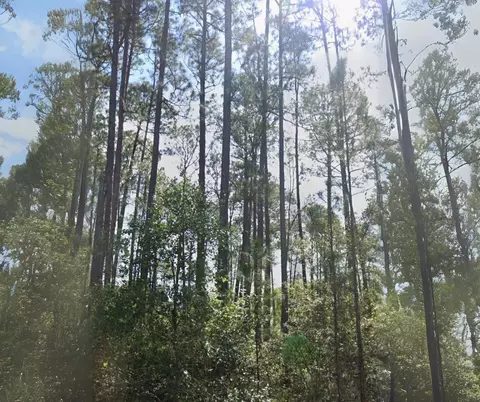 127 1st St, Georgetown, FL 32139