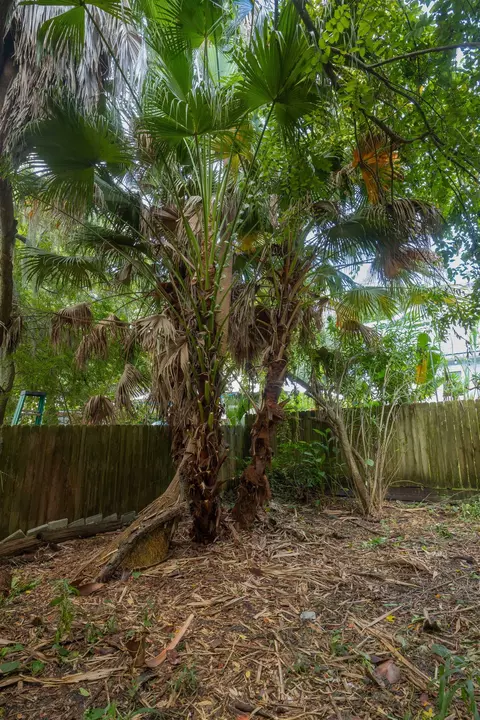 Exterior - 22 Arenta St, Saint Augustine, FL 32084 photo 8 of 9