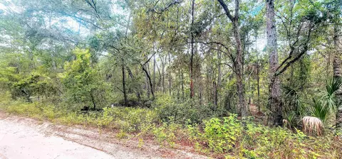 Minnesota Ave, Satsuma, FL 32189