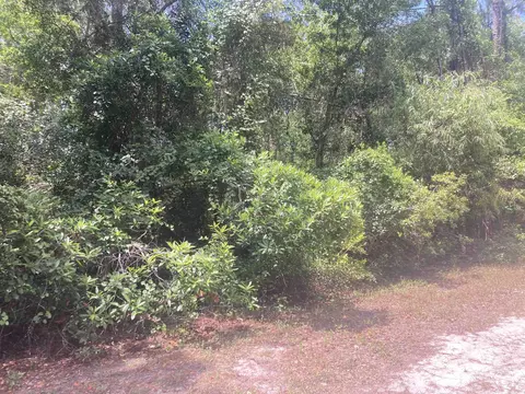 430 Palm Way, Georgetown, FL 32139