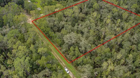 6366 Alder Ave, Bunnell, FL 32110 photo 3