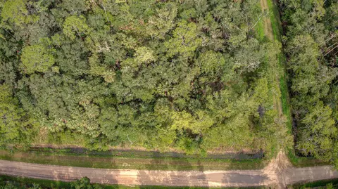 6366 Alder Ave, Bunnell, FL 32110 photo 4