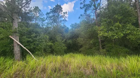 129 Lake View Dr, Pomona Park, FL 32181