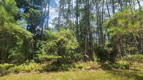126 Helen Ave, Georgetown, FL 32139